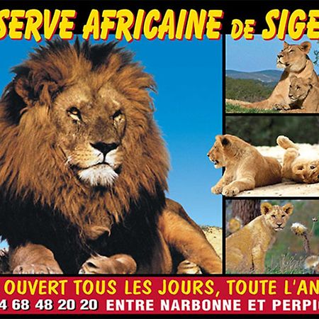 Le Mieukerien - Reserve Africaine 15 Mn, Plage 200M, Terrasse Port-la-Nouvelle Ngoại thất bức ảnh