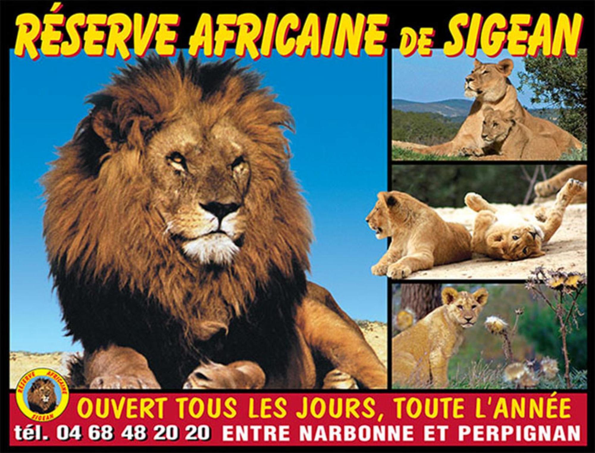Le Mieukerien - Reserve Africaine 15 Mn, Plage 200M, Terrasse Port-la-Nouvelle Ngoại thất bức ảnh